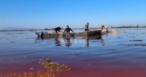 Pesca segue proibida na Lagoa de Araruama; fiscalização será intensificada até outubro