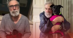 Idoso que não queria outro cachorro após perder companheiro se torna inseparável de Lady no Rio